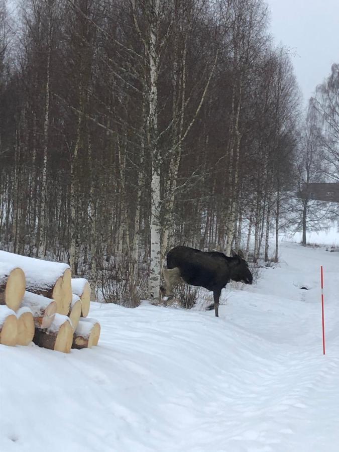 Trevlig Stuga Naera Hovfjaellet Torsby Zewnętrze zdjęcie