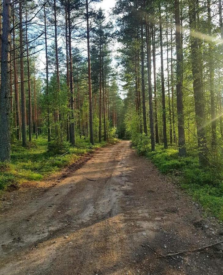 Trevlig Stuga Naera Hovfjaellet Torsby Zewnętrze zdjęcie