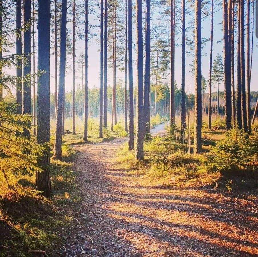 Trevlig Stuga Naera Hovfjaellet Torsby Zewnętrze zdjęcie