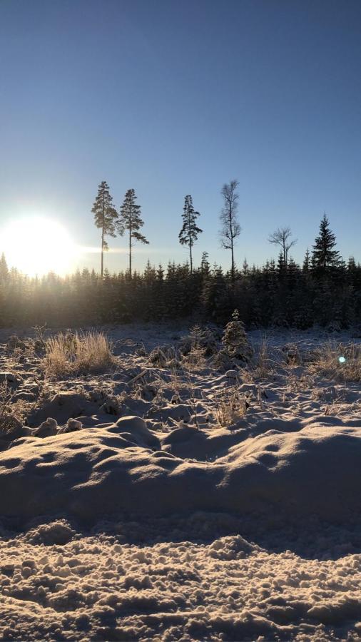 Trevlig Stuga Naera Hovfjaellet Torsby Zewnętrze zdjęcie