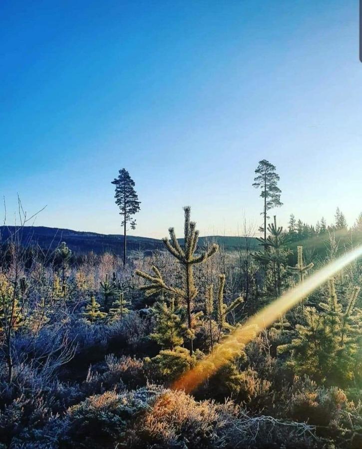 Trevlig Stuga Naera Hovfjaellet Torsby Zewnętrze zdjęcie