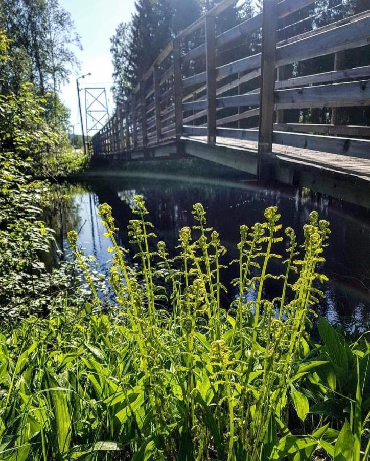 Trevlig Stuga Naera Hovfjaellet Torsby Zewnętrze zdjęcie