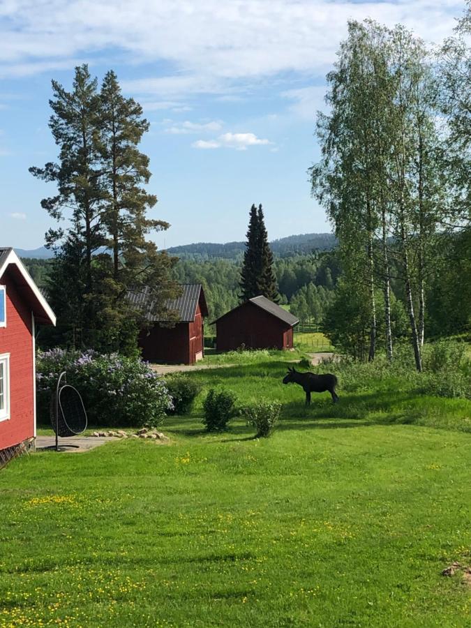 Trevlig Stuga Naera Hovfjaellet Torsby Zewnętrze zdjęcie